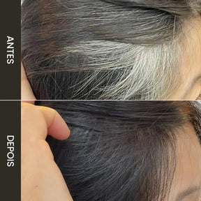 Caneta de Pente para Cobrir Cabelos Brancos Instantaneamente – Preta e Natural, à Prova d’Água – [Modernara]