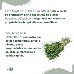 Óleo de Alecrim 100% Puro Prensado a Frio para Crescimento Capilar e Pele Saudável – Vegano e Natural | Modernara